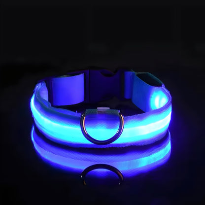 LED Dog Collar