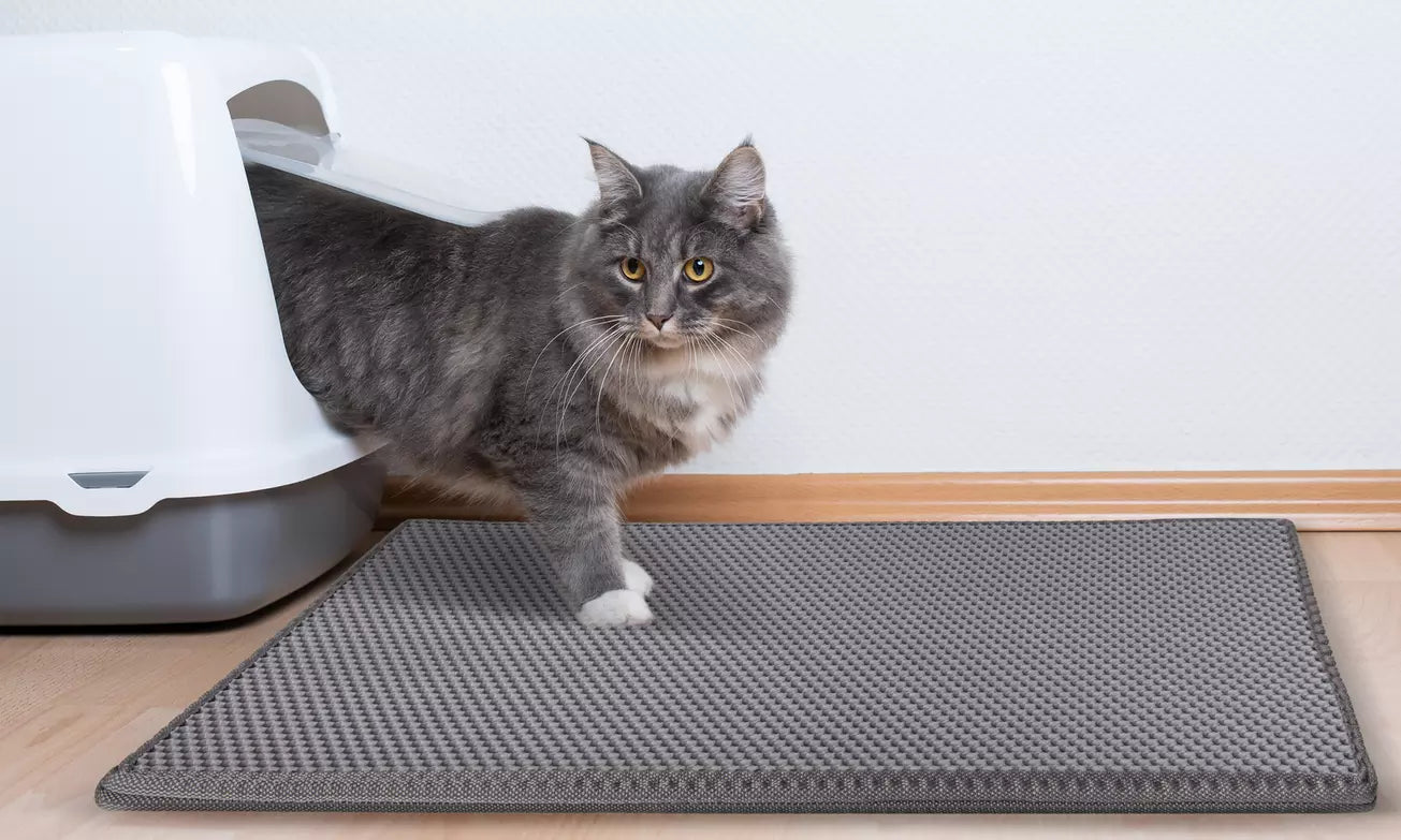 Double Layer Cat Litter Mat